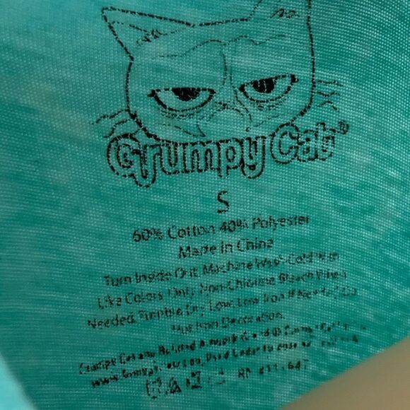 Grumpy Cat I Had Fun Once It Was Awful T Shirt Sm - Picture 4 of 6